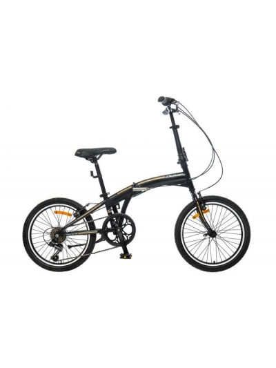 Bickl POLAR Practic 30
