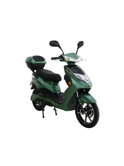 Elektricni skuter DISCOVERY 16" zelena
