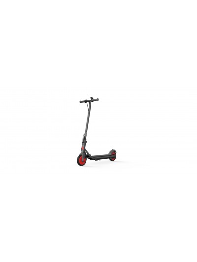 Elektricni Trotinet Ninebot Zing Segway C20