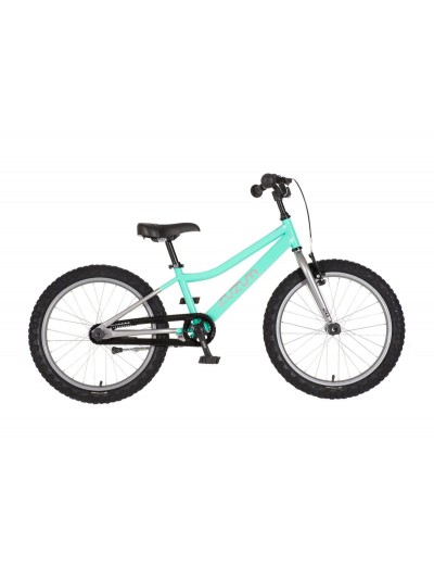 Bicikl Zumzum 20 "