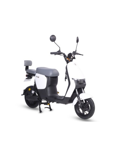 Električni bicikl 10 " RAPID