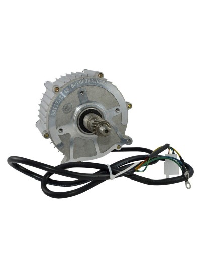 Motor 250W/48V za elektro tricikl TITAN