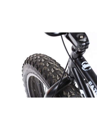 CAPRIOLO Fat Boy 20" CAPRIOLO Fat Boy 20"