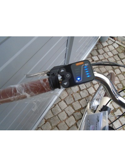 CAPRIOLO Diana 28'' E-Bike CAPRIOLO Diana 28'' E-Bike