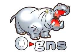 O-GNS O-GNS